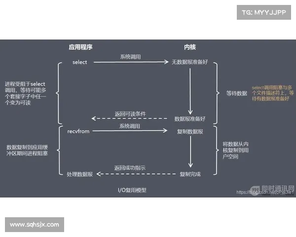 位面精华基础理论解析与应用探讨 位面精华基础理论解析与应用探讨