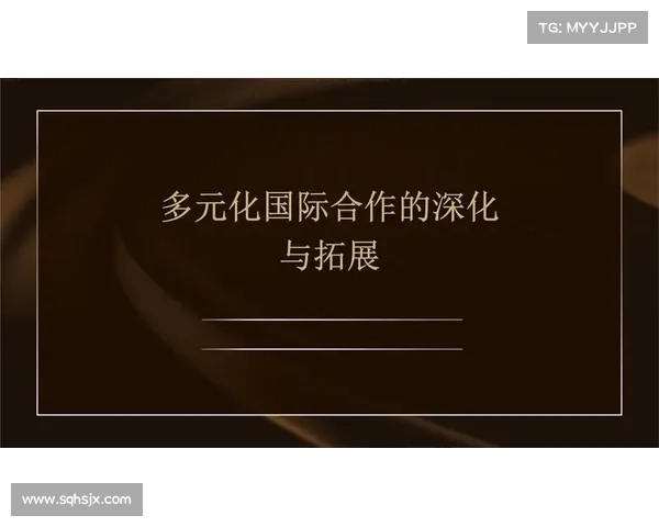 多元化策略:合作与冲突的五种路径 多元化策略:合作与冲突的五种路径