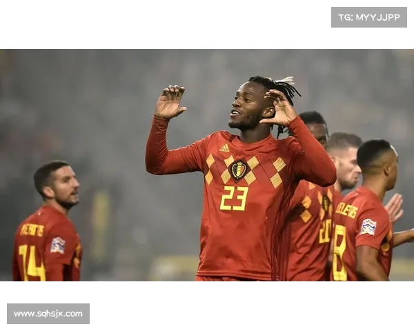 从比利时到非洲根源探秘巴舒亚伊多语言成长与文化之旅 从比利时到非洲根源探秘巴舒亚伊多语言成长与文化之旅