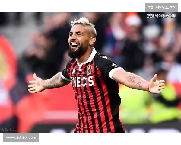 法甲冠军标志的含义解析及正确使用指南