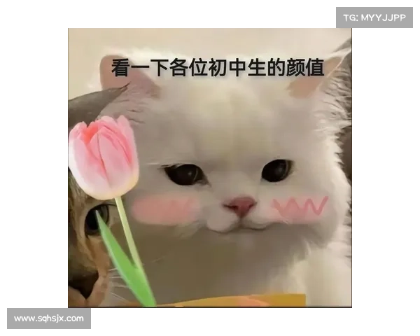 如何根据不同场合选择最适合的11月11日表情包提升沟通趣味性