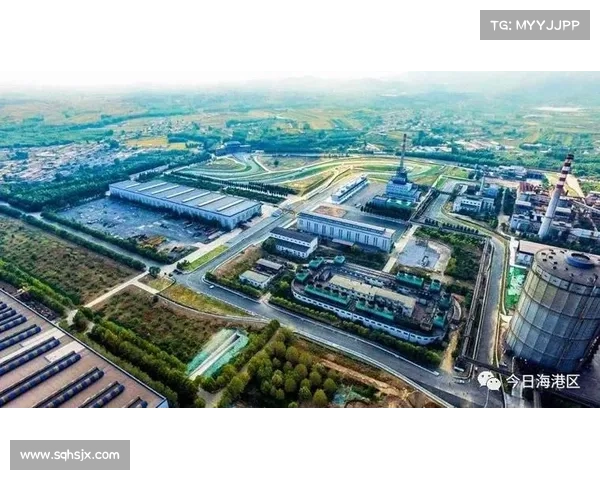 如何评估海港引进米内罗的潜力与发展前景